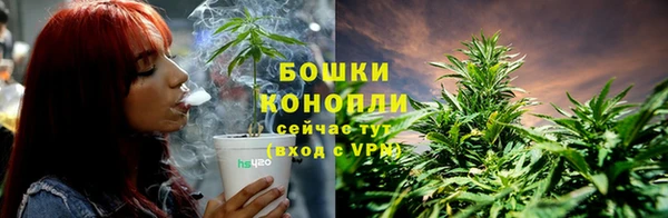 амф Аркадак